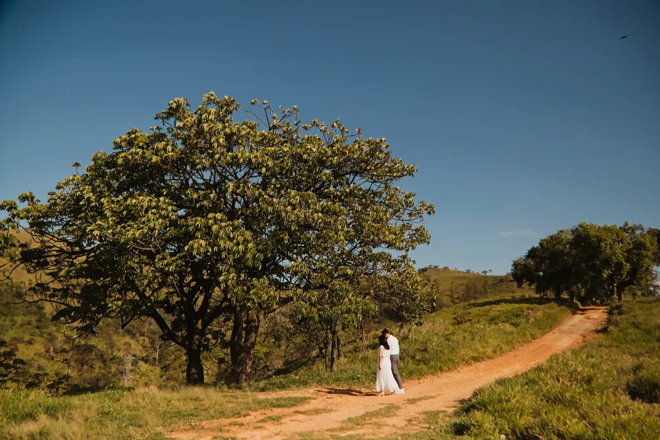 O casal caminhando pela estrada sob as árvores