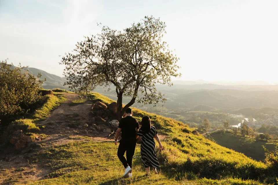 O casal sob a árvore com luz de fim de tarde